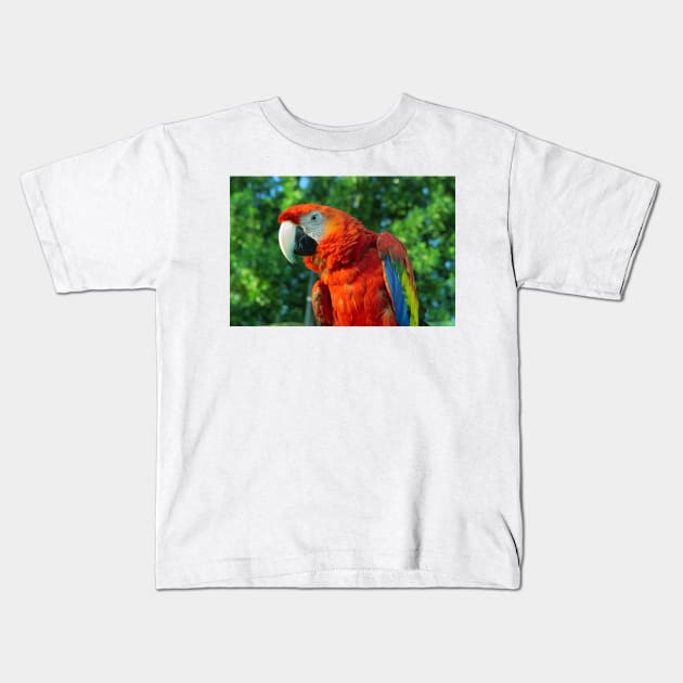 macaw Kids T-Shirt by likbatonboot